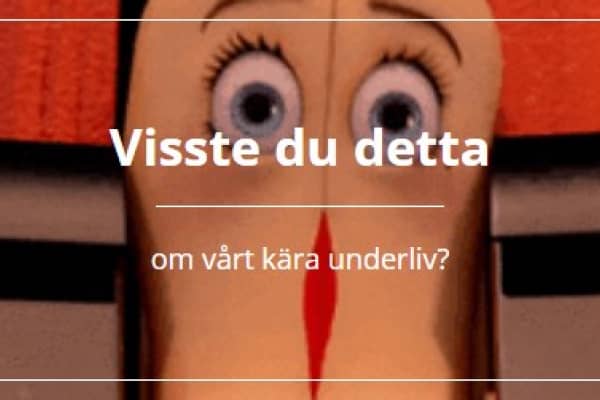 Hur djup är fittan? 10 saker du inte visste om underlivet