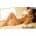 Nicole Aniston Fit