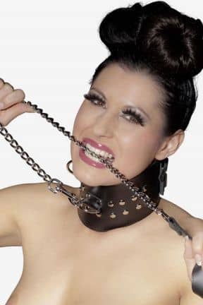 Bondage / BDSM Leather Leash - koppel