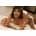 Fleshlight Janice Griffith Eden