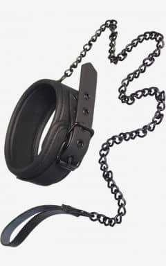 Alla Blaze Collar and Leash Black