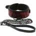 BDSM Halsband Blaze Deluxe Collar & Leash