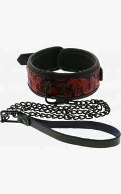 Bondage BDSM Halsband Blaze Deluxe Collar & Leash