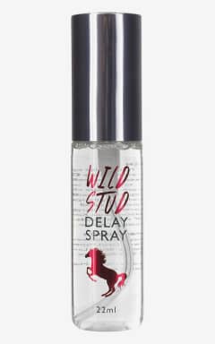 Lustökande & fördröjande Wild Stud Delay Spray 22ml