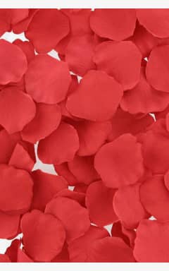 Lustökande & fördröjande Loverspremium Bed Of Roses Rose Petals Red