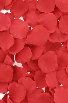 För par Loverspremium Bed Of Roses Rose Petals Red