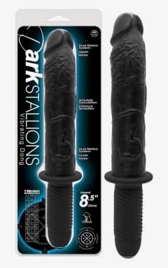 BDSM-fest Dark Stallions Black
