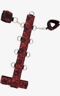 Bondage Collar Red