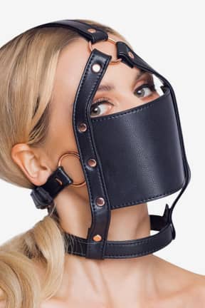 Gagball Head Harness With A Gag