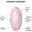 Satisfyer Vulva Lover 3 Pink