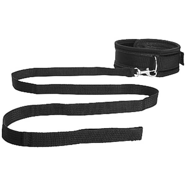 Velvet Collar with Leash detaljbild 2