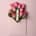 Pjur Woman Lust Gel 15ml