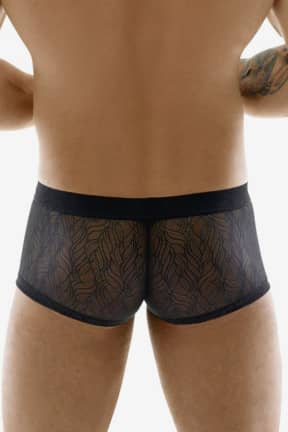 Alla Svenjoyment Lace Pants For Men Black