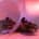 Eye of Love - Bloom Pheromone Parfum Attract Her - Earth's Desire - 10ml