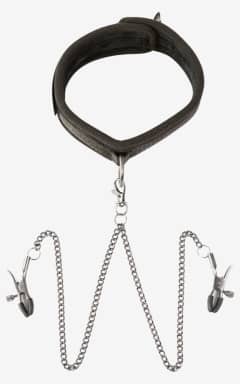 BDSM Sei Mio Twin Tweaks Velvet Collar with Nipple Clamps