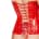 Black Level - Vinyl Corset - Red - S