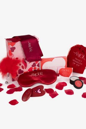 Bondage Dreamtoys - Amour - The Secrets Of Love Panty Play Kit