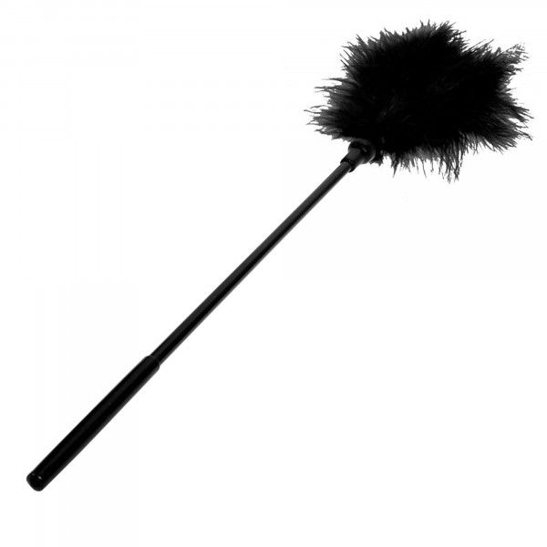 https://www.mshop.se/media/product/10e/lang-fjader-svart-7d8.jpg