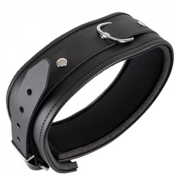 https://www.mshop.se/media/product/40e/padded-leather-collar-s-m-dd9.jpg