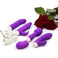 Ultimate Vibrator Kit