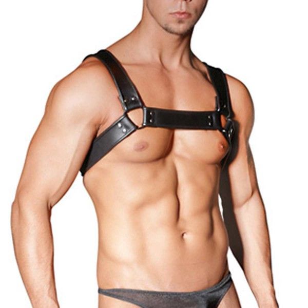 https://www.mshop.se/media/product/88d/zado-leather-chest-harness-f84.jpg