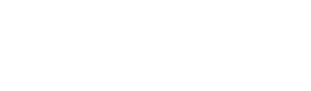 We-Vibe